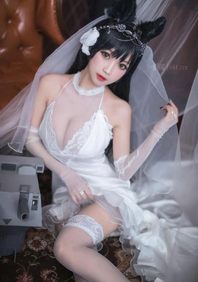 国产探花免费_未删减完整版