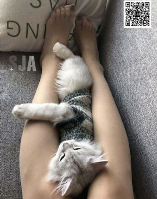 日韩性交射精_1080免费观看电视剧